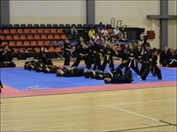 La Nucia Hapkido Clase 2014