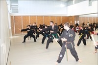 La Nucia Pab Hapkido Sem 2014