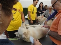 La Nucia Centro Dia Caninoterapia 2014