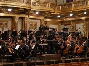La OJPA ha actuado en la famosísima sala Musikverein de Viena