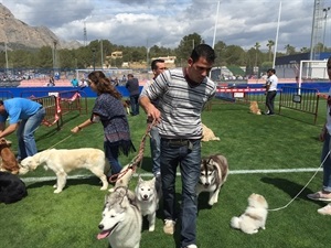 Perros de diferentes razas participarán en el Concurso Canino de La Nucía