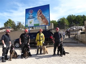 En esta jornada han trabajado de forma conjunta los perros de la UME y los perros de la ONG USAR 13 de La Nucía