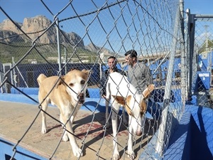 Refugio Municipal de Animales de La Nucía