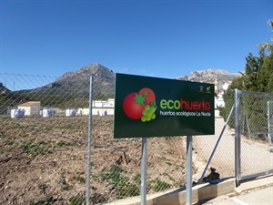 Estos Eco Huertos están ubicados en la zona recreativa del Copet