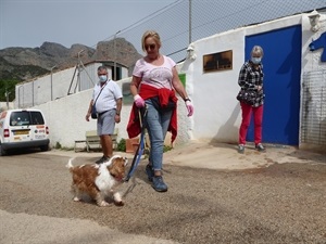 L@s voluntari@s de la Protectora de Animales tendrán un lugar donde jugar con los perros y refrescarlos