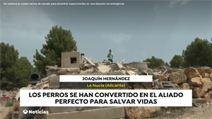 “Antena 3 Noticias” realizó un pequeño reportaje sobre un simulacro de los Bomberos de la Diputación de Alicante en el Campo de Entrenamiento de Perros de Rescate de La Nucía