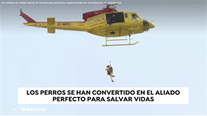 Los Bomberos de la Diputación de Alicante realizaron un simulacro de rescateLa Nucia Camp Perros Rescate Antena 3 3 2021